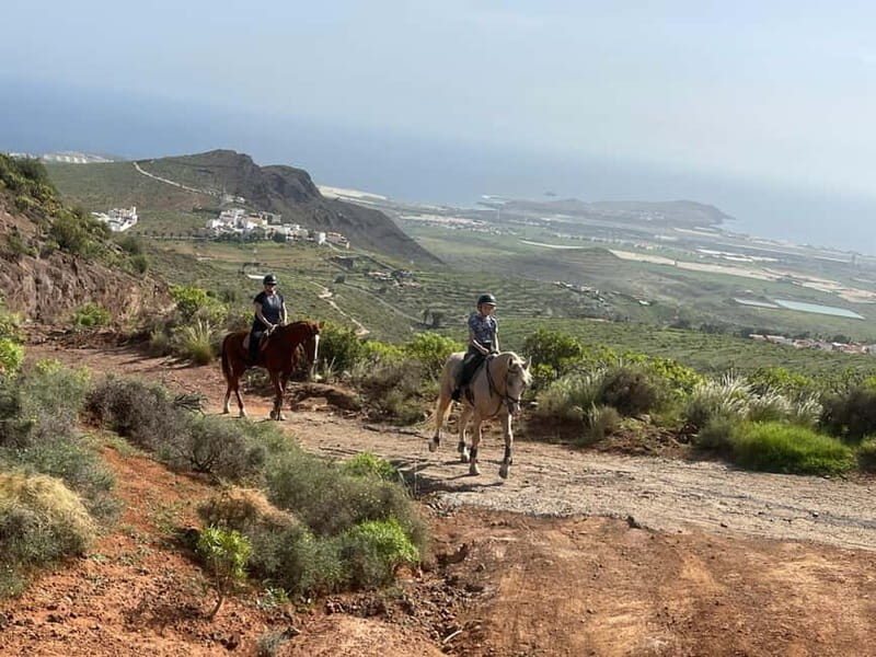 2 hours Green Mountains Horse Riding Tour - Final Thoughts: Is This Tour for You?
