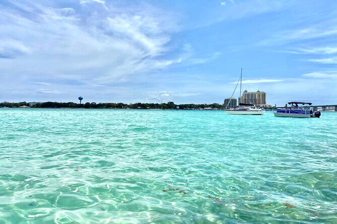 2 Hours Guided Dolphin Tour in Florida - What to Expect from the Dolphin Tour in Destin