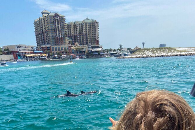 2 Hours Guided Dolphin Tour in Florida - Group Size, Booking, and Cost