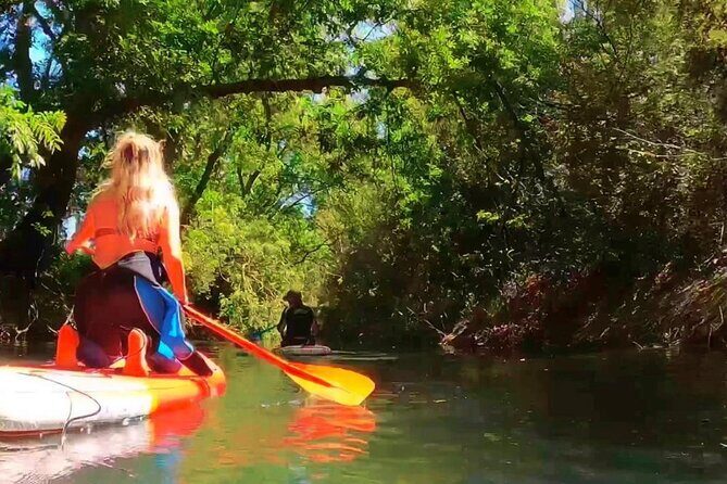 2 Hours guided tour in Sup in the Syracuse coast - Is It Worth the Price?