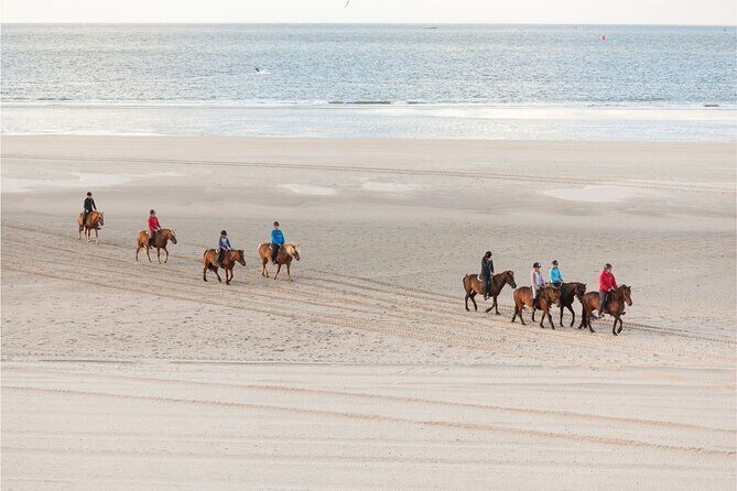 2 hours Horse Riding Excursion near the Beach in Alcúdia bay - The Experience in Detail