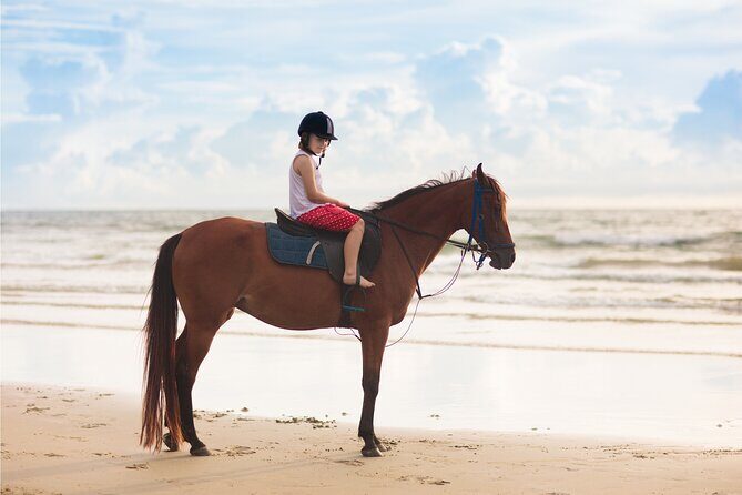 2 hours Horse Riding Excursion near the Beach in Alcúdia bay - FAQ