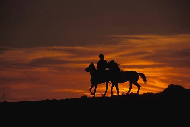 2 Hours Horse Riding Safari in Cappadocia ( Transfer Include ) - What to Expect from the 2-Hour Horse Riding Safari