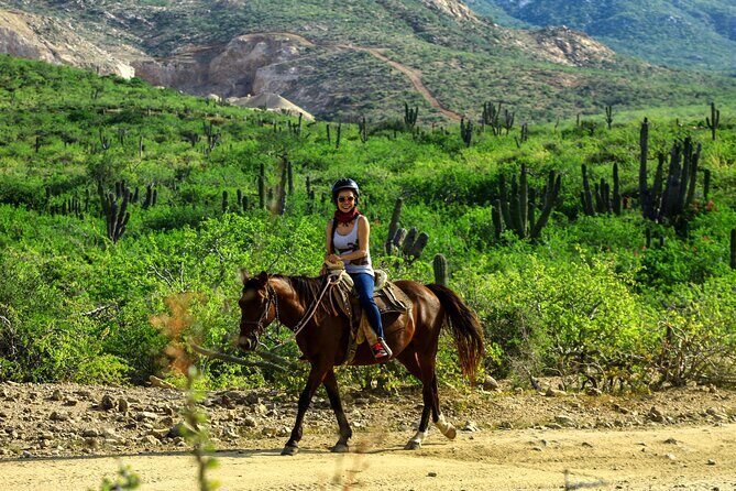 2 Hours Horseback Riding Adventure in Cabo - What to Expect from the Ride