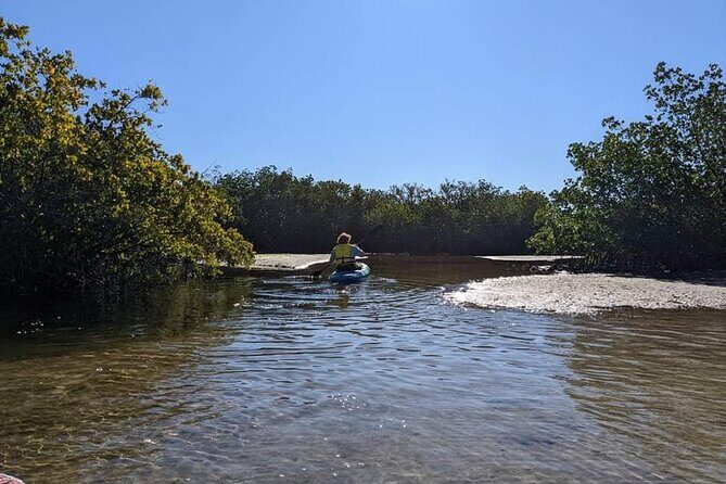 2 Hours Kayak Eco Tour in Tarpon Springs - What to Expect from the Tarpon Springs Kayak Eco Tour