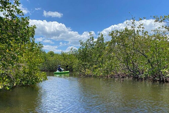 2 Hours Kayak Eco Tour in Tarpon Springs - Frequently Asked Questions