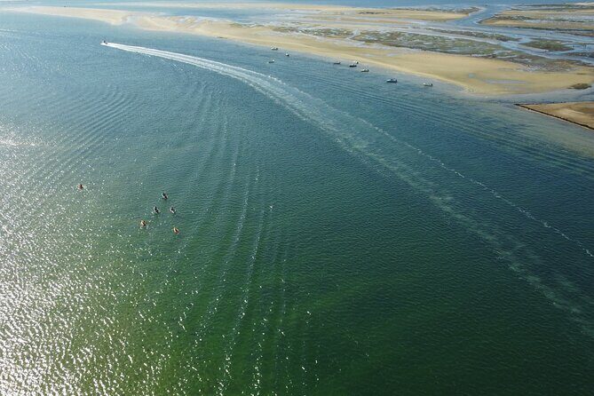 2 Hours Kayak Island Tour in the Natural Park of Ria Formosa - What the Experience Includes and What to Keep in Mind