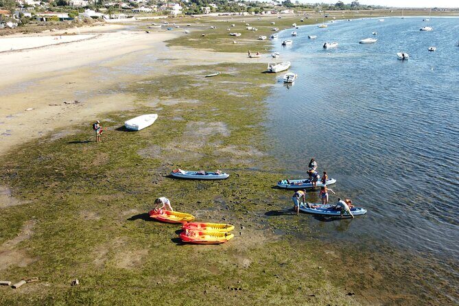 2 Hours Kayak Island Tour in the Natural Park of Ria Formosa - The Realities of the Tour: Pros and Cons