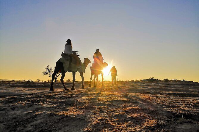 2 Hours of Camel Safari in Cappadocia - Final Thoughts