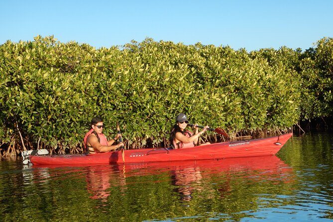 2 Hours of Kayak Safari in Bahía de La Paz - Who This Tour Is Best For