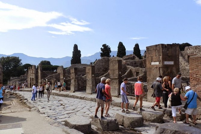 2 hours Pompeii Tour with Local Historian - Ticket Included - Pace and Group Size: Not a Marathon, But Still Real