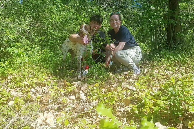 2 hours Private Activity - Truffle hunting in Assisi - What to Expect from the Truffle Hunting Tour in Assisi