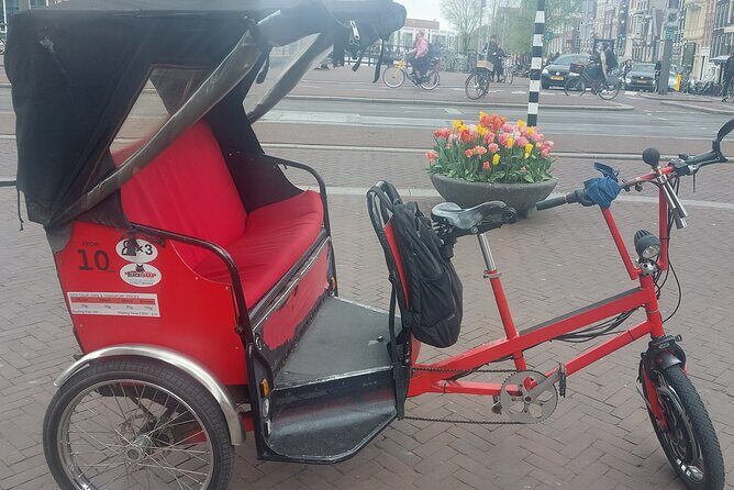 2 Hours Private Amsterdam Rickshaw Tour - Is It Worth the Price?