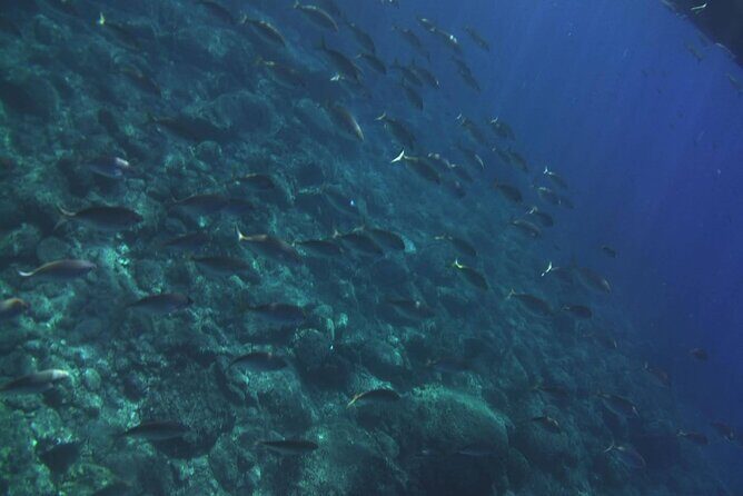 2 Hours Private Boat Tour Isola Bella Taormina Giardini Naxos - Valuing the Price