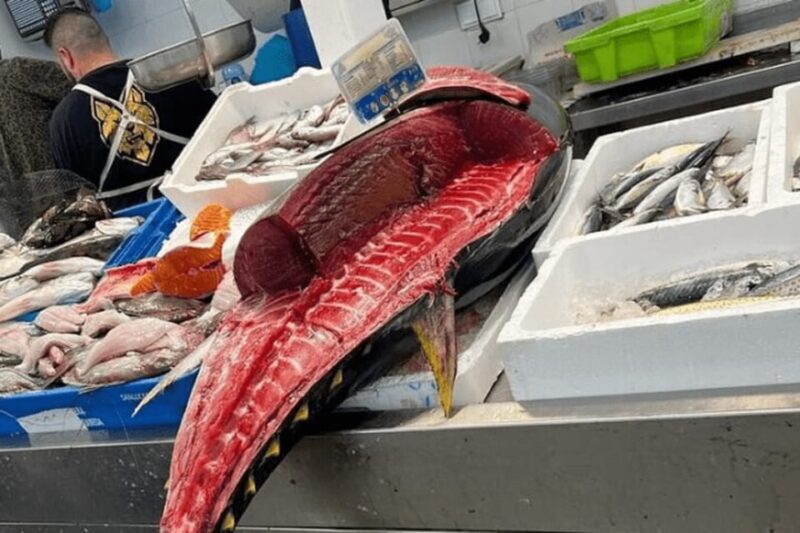 2 Hours Private Historical Tour in Cadiz - Final Thoughts