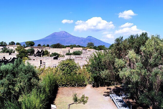 2 Hours Private Tour in Pompeii with Archaeologist - Final Thoughts