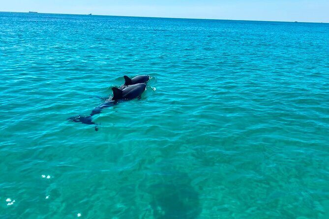 2 Hours Shell Island Jet Ski Tour - Value for Money and Overall Impression