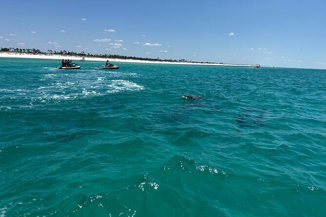 2 Hours Shell Island Jet Ski Tour - FAQs