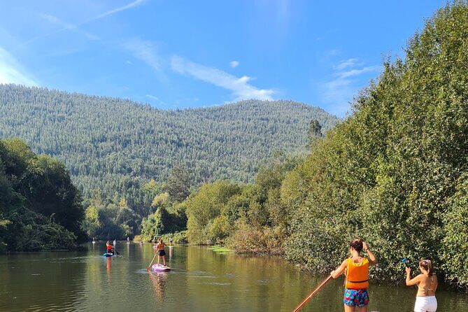2 Hours SUP Activity on Arda River - Pricing and Value