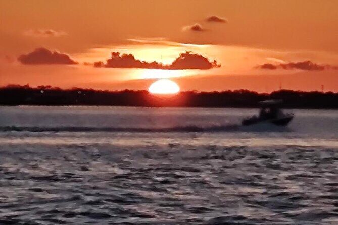 2 Hours Swim with the Dolphins in Panama City - The Small Group Advantage and Safety