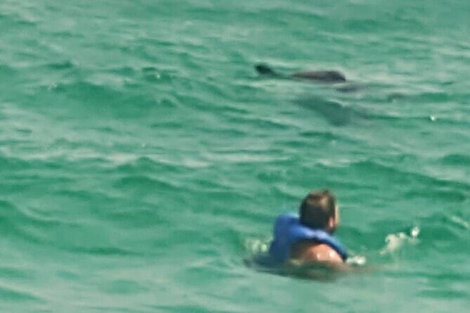 2 Hours Swim with the Dolphins in Panama City - Potential Drawbacks and Things to Consider