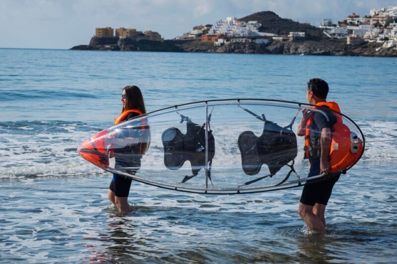 2 Hours Tour - Transparent Kayak Tour - What It’s Like in Practice