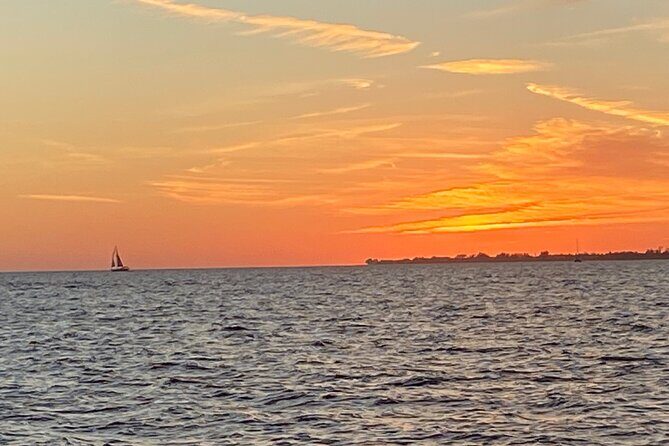 2 HR Dolphin Tour for 7 people - What to Expect from the Tour