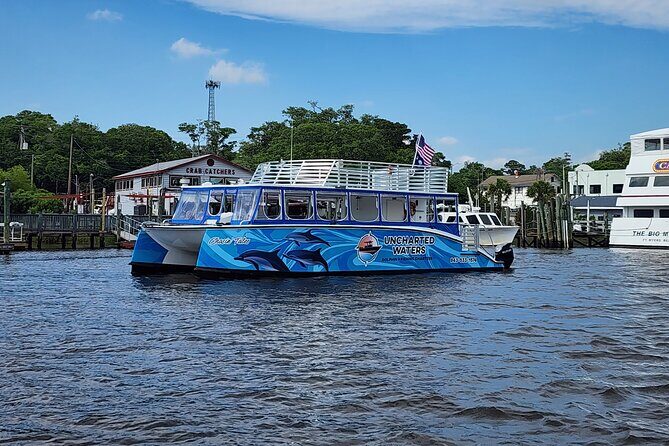 2 HR Dolphin Tour in North Myrtle Beach - A Closer Look at the Experience