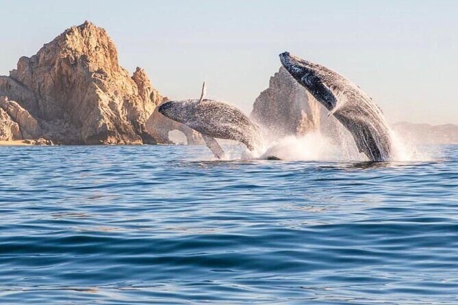 2 in 1 Tour | Arc Tour with Beach Drop - Key Points