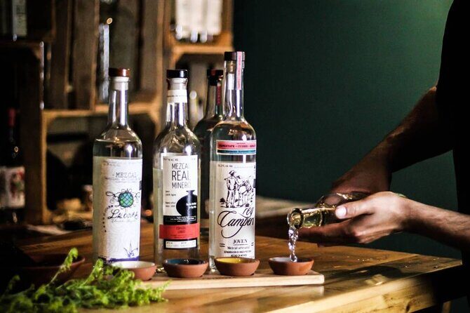 2 Island Adventure: Contoy & Mujeres with Snorkeling & open bar - Pricing and What It Gets You