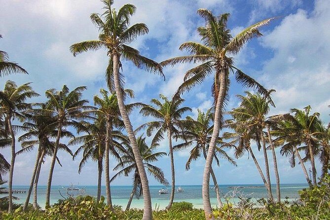 2 Islands Tour - Isla Contoy and Isla Mujeres from Playa del Carmen - Final Thoughts