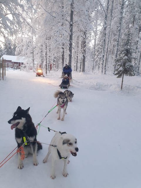 2 Nights Lapland experience - Key Points
