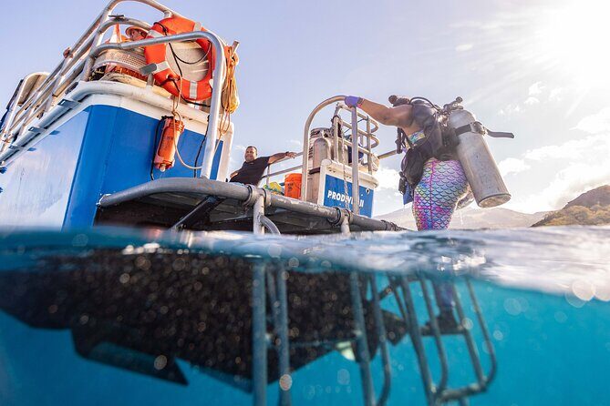 2-Tank Dive Featuring the Molokini Crater - Detailed Look at the Experience