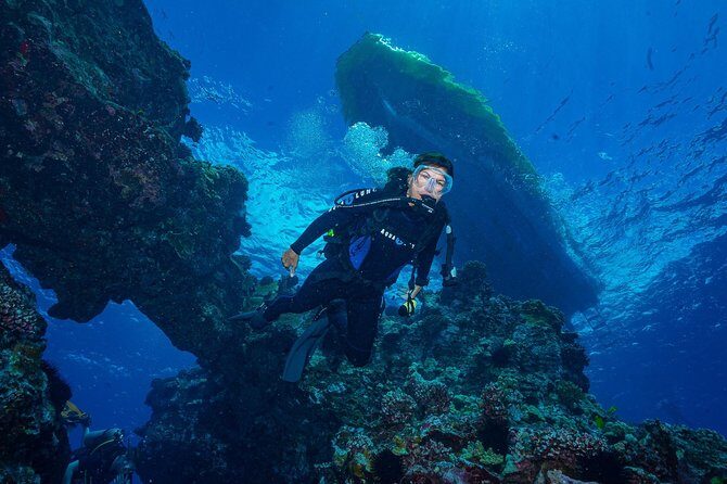 2 Tank Lanai Cathedral Scuba Dive Via Boat for Certified Divers - Who Should Consider This Tour?