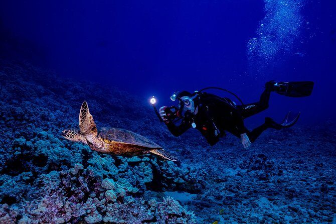2 Tank Lanai Cathedral Scuba Dive Via Boat for Certified Divers - FAQ