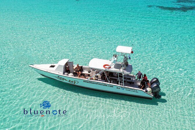 2 Tank Morning Dive: Scuba Diving in Cozumel - What to Expect from the Cozumel 2 Tank Morning Dive Experience