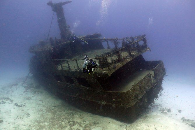 2-Tank Morning or Afternoon Dives in Playa del Carmen certified Divers Only - Cost and Value