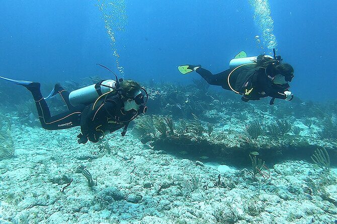 2 Tank Reef Dive in Mexico - Who Should Consider This Tour?