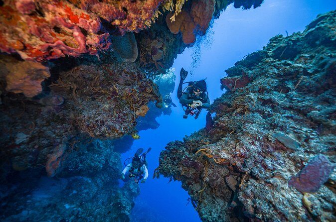 2 Tanks dives for Certified Divers in Cozumel - FAQs