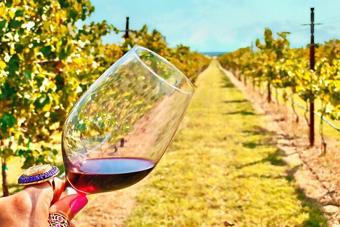 2 to 5 Guests Fredericksburg Private Mercedes SUV Wine Tour - The Experience: What You’ll Love & What to Watch Out For