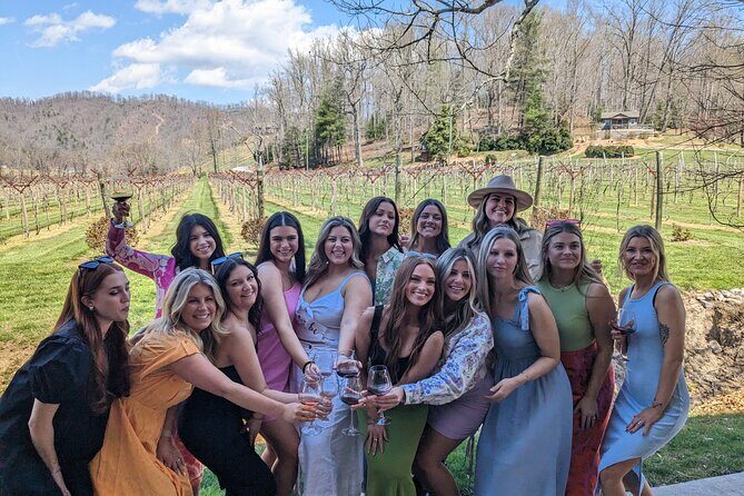 2 Vineyard Wine Tour of Western NC - Who Will Love This Tour?
