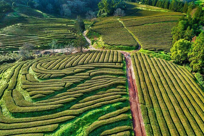 2 x Day Tour pack with lunch included (Furnas + Sete Cidades + Fogo + Nordeste) - FAQ