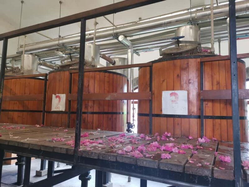 2026 Kazanlak Rose Festival Group Tour - Exploring Bulgaria’s Heart at the Kazanlak Rose Festival