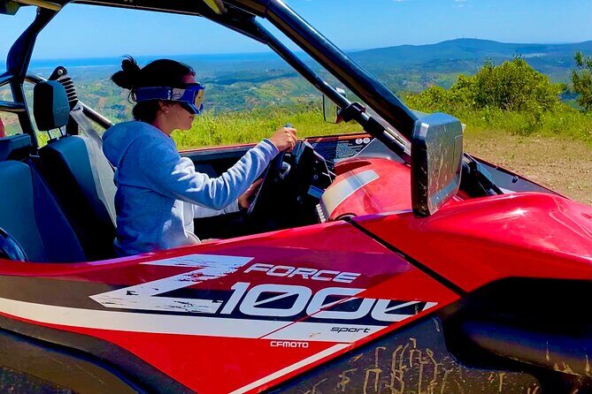 2:30 Hours Tour - What to Expect from the Tour