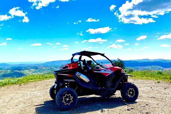 2:30 Hours Tour - The Bottom Line