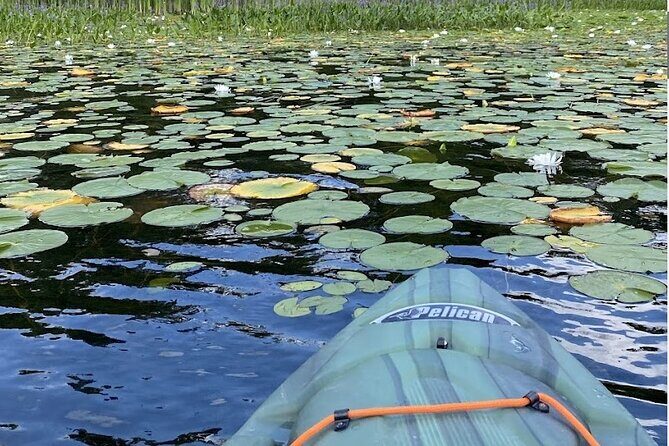 24-48 Hour Kayak Rental in Marmora, Ontario - FAQ
