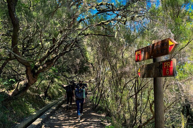 25 Fountains Levada: Hiking Tour in Madeira Rabaçal Valley (PR6) - Making Sense of the 25 Fountains Levada Tour
