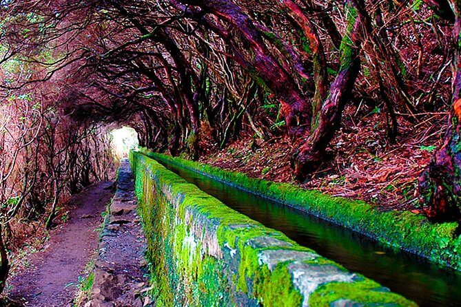 "25 Fountains" Walk / Lost In The Beautiful Forest - FAQ