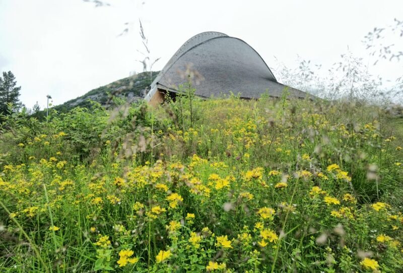 2day tour hardanger bike vøringsfossen and flåm næroyfjord - The Sum Up