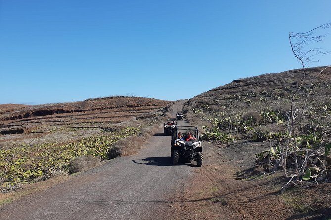 2h Buggy Tour guided by the north of Lanzarote - FAQ